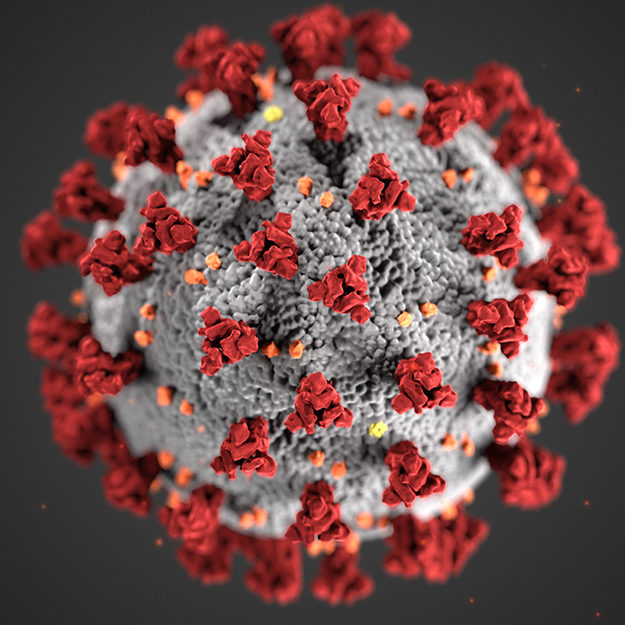 coronavirus traité