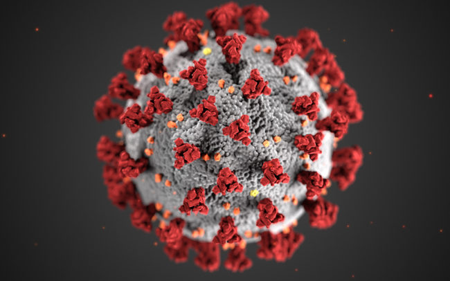 coronavirus traité